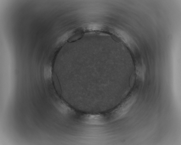 X0000111420401200907271147