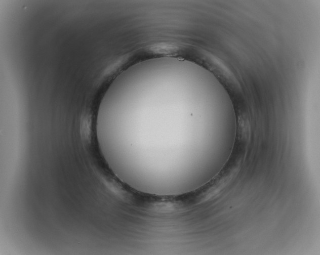 X0000111420404200907271147