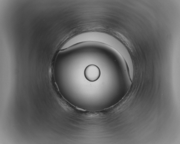 X0000111420405200907271147