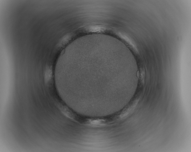 X0000111420407200907271147