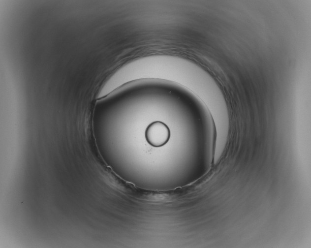 X0000111420409200907271147