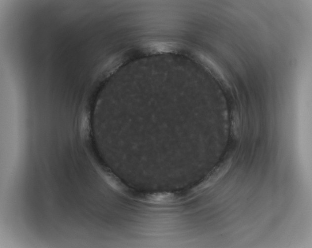 X0000111420410200907271147