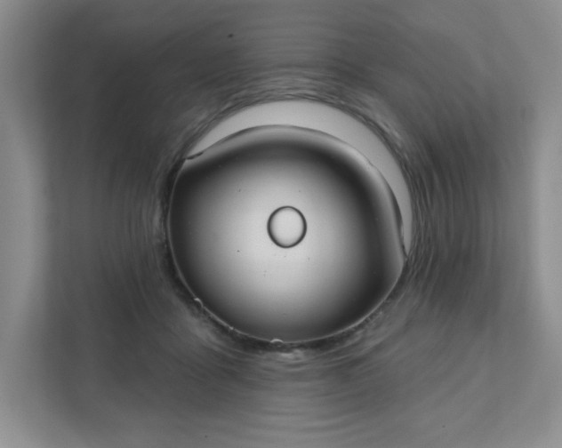 X0000111420411200907271147