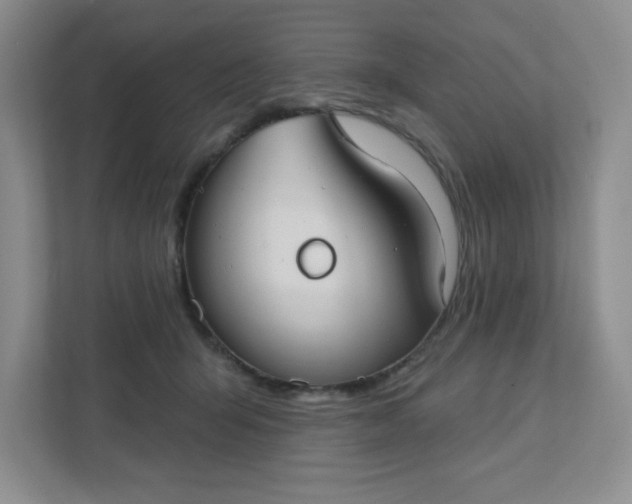 X0000111420415200907271147