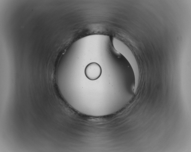 X0000111420417200907271147