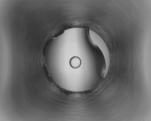 X0000111420419200907271147