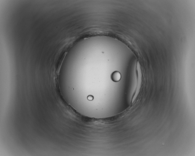 X0000111420423200907271147