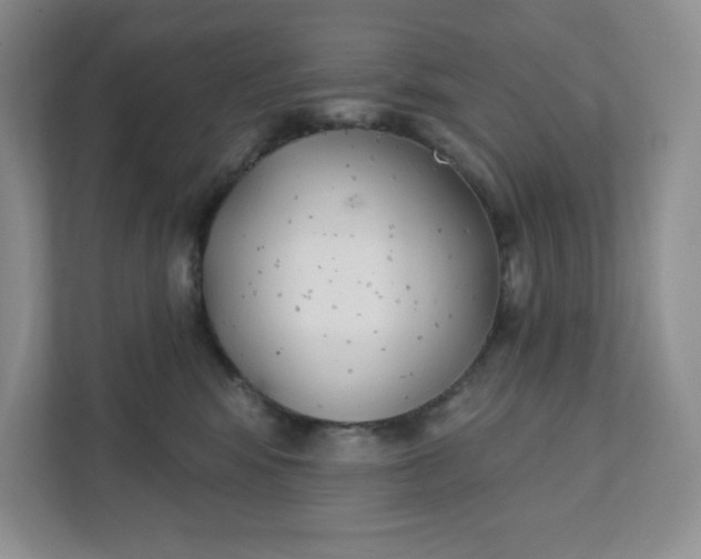 X0000111420424200907271147