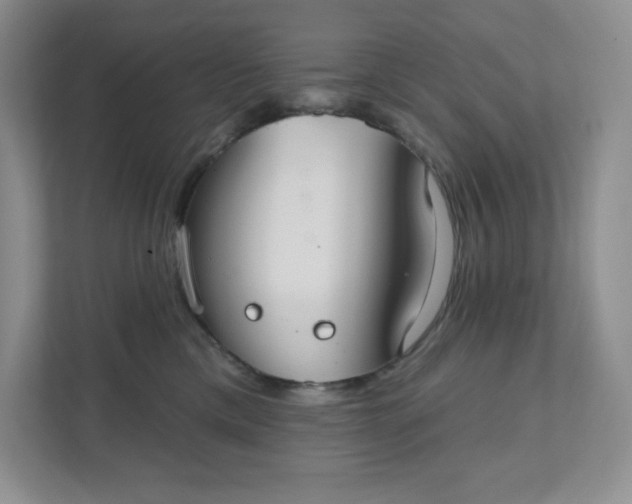 X0000111420425200907271147