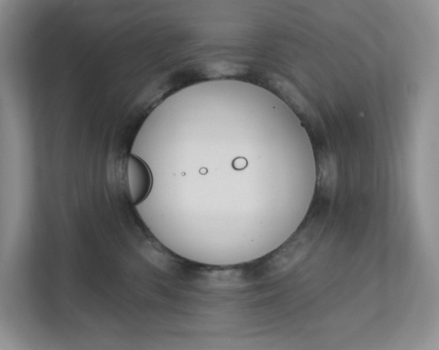 X0000111420426200907271147