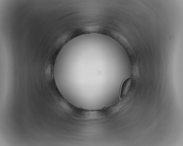 X0000111420428200907271147