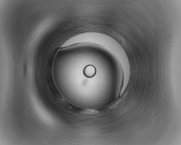 X0000111420429200907271147