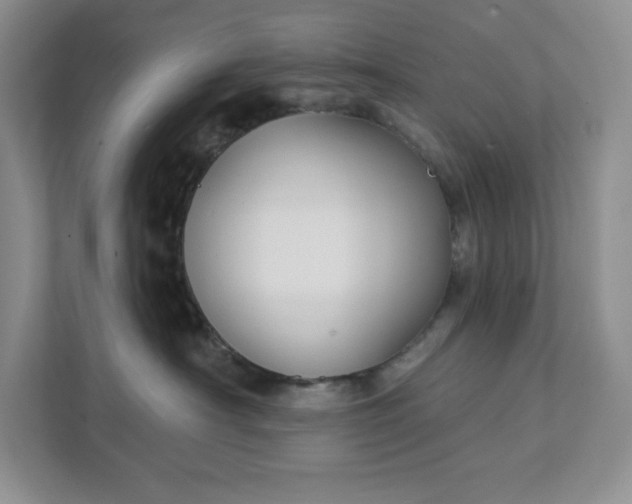 X0000111420430200907271147