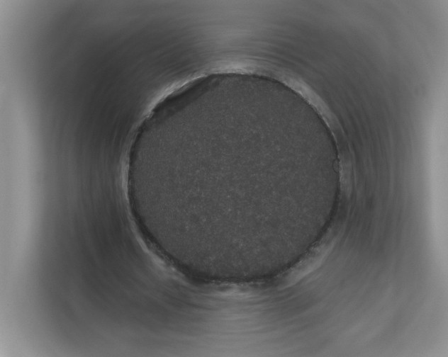 X0000111420434200907271146