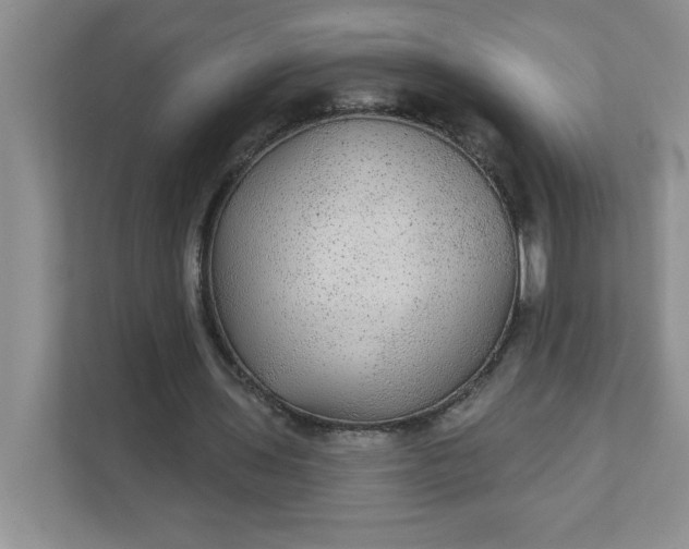 X0000111420435200907271146