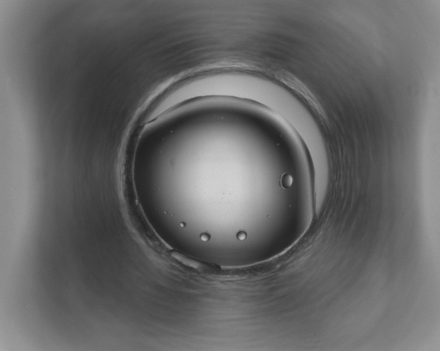 X0000111420436200907271146