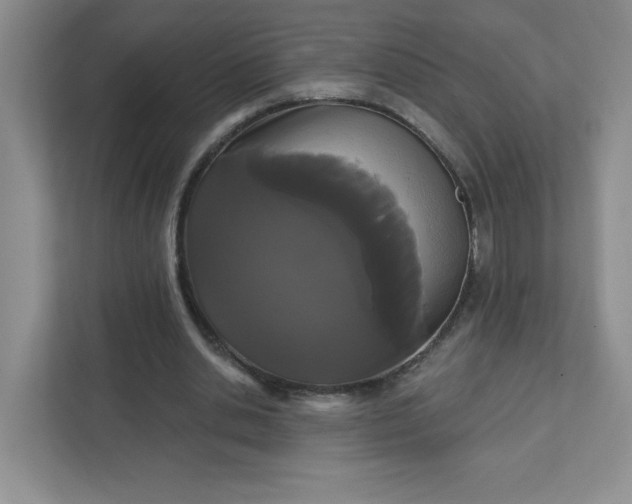 X0000111420438200907271146