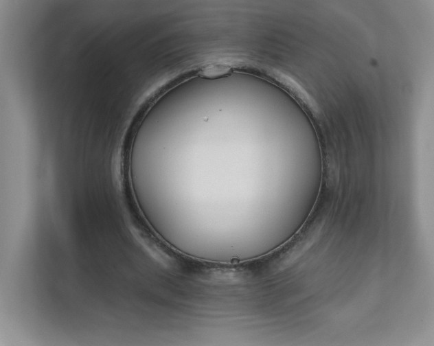 X0000111420439200907271146