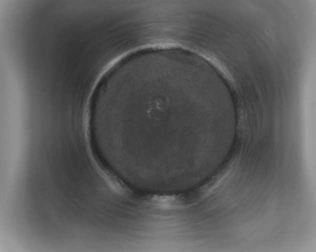 X0000111420440200907271146