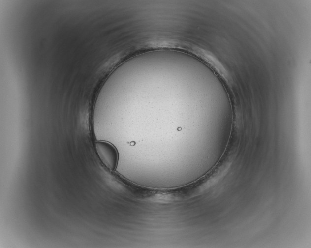 X0000111420441200907271146