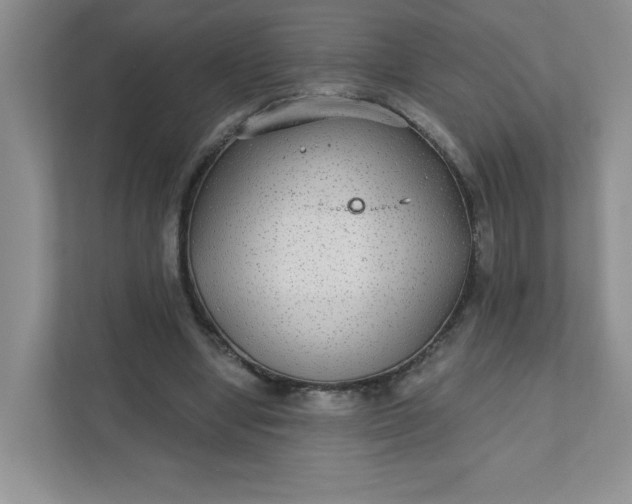 X0000111420442200907271146