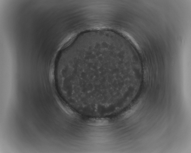 X0000111420443200907271146