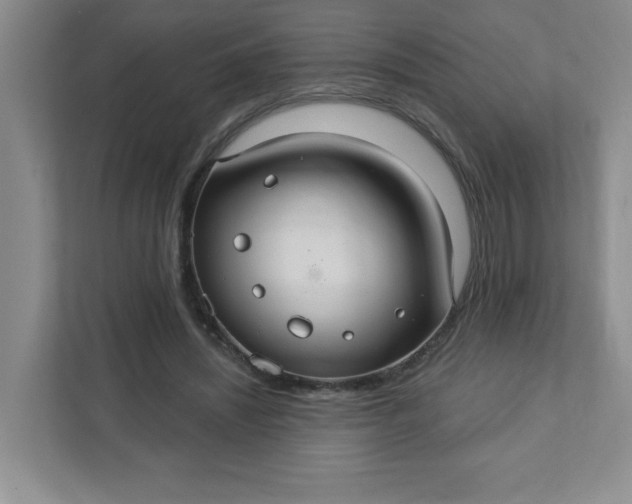 X0000111420444200907271146