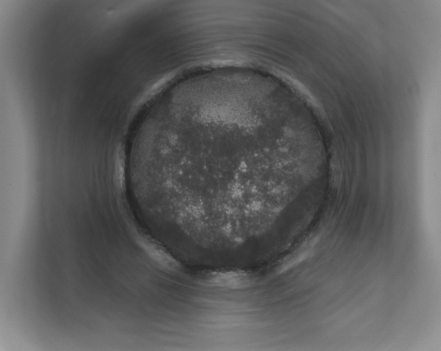 X0000111420446200907271146