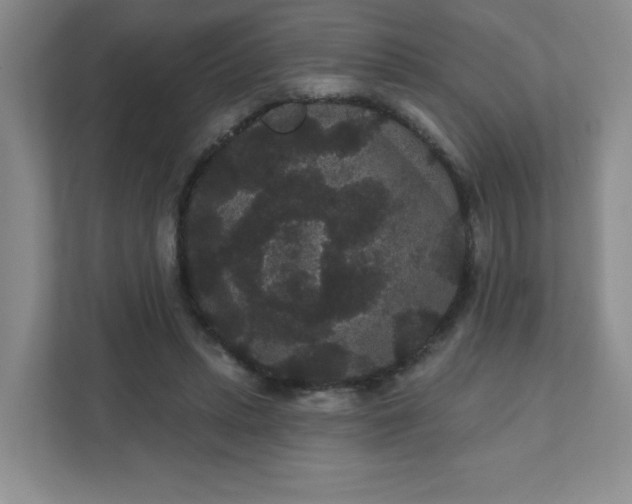 X0000111420447200907271146