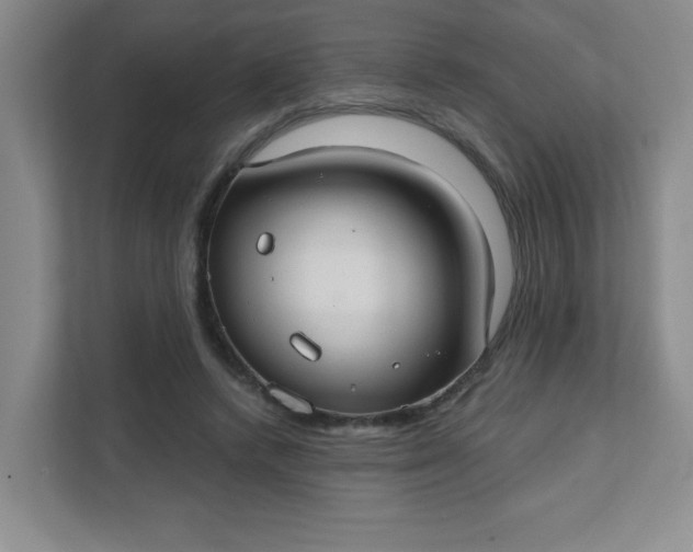 X0000111420448200907271146