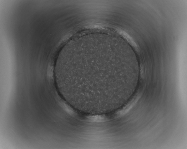 X0000111420449200907271146