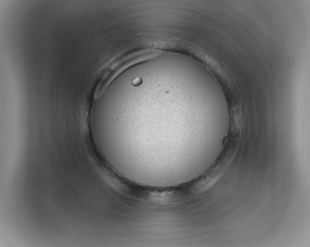 X0000111420450200907271146