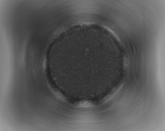 X0000111420451200907271146