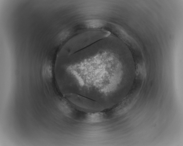 X0000111420452200907271146