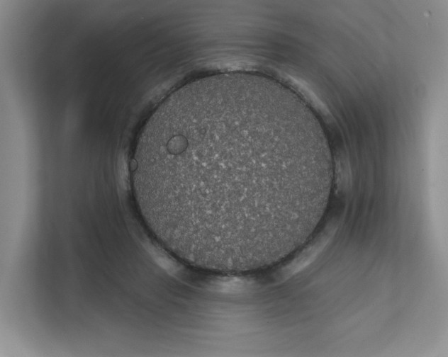 X0000111420453200907271146