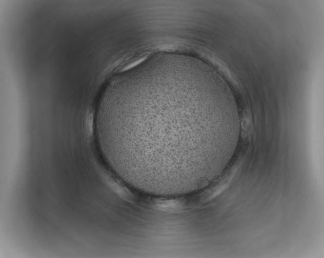 X0000111420454200907271146