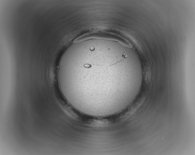 X0000111420455200907271146