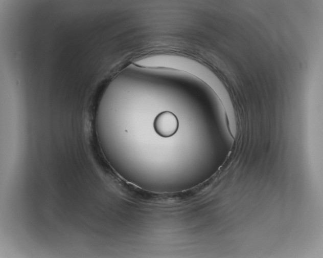 X0000111420456200907271146