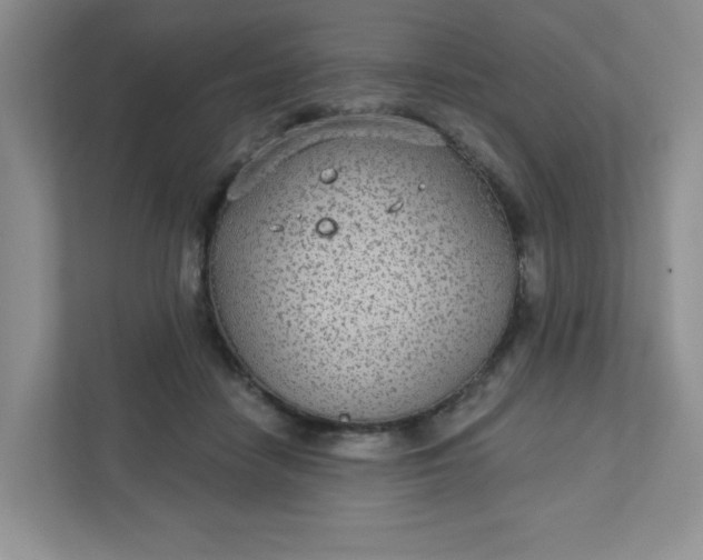 X0000111420458200907271147