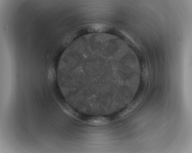 X0000111420459200907271147