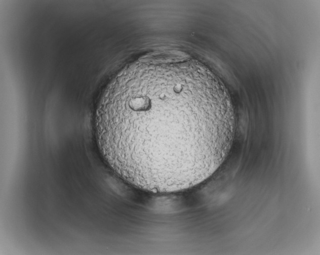 X0000111420461200907271147