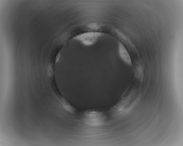 X0000111420467200907271147