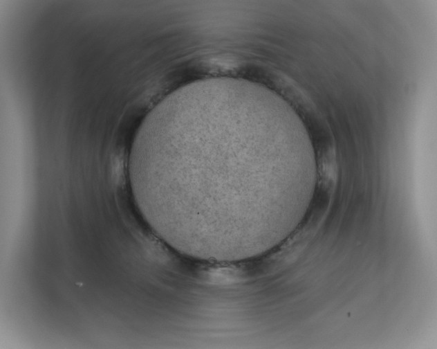 X0000111420468200907271147