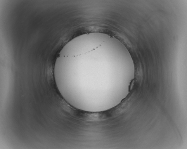 X0000111420473200907271147