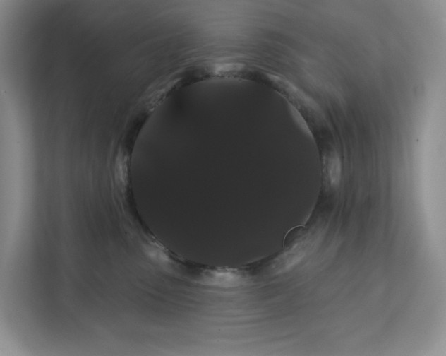 X0000111420475200907271147