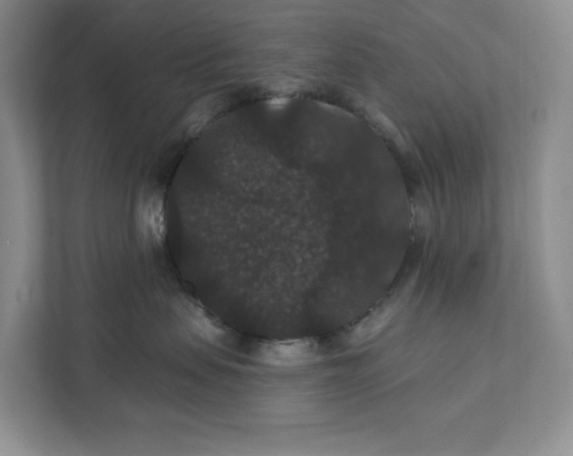 X0000111420479200907271147