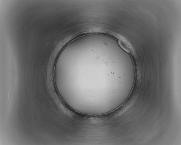 X0000111420481200907271146