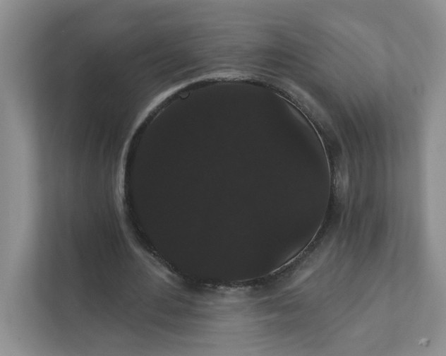 X0000111420484200907271146