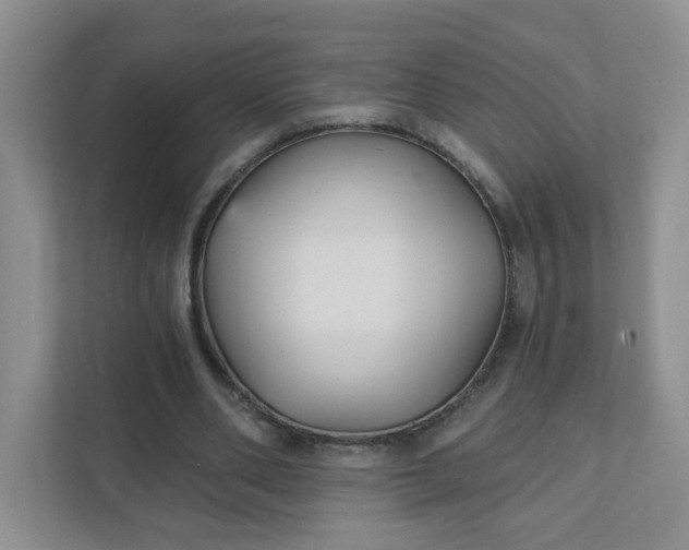 X0000111420486200907271146