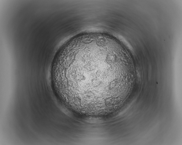 X0000111420487200907271146